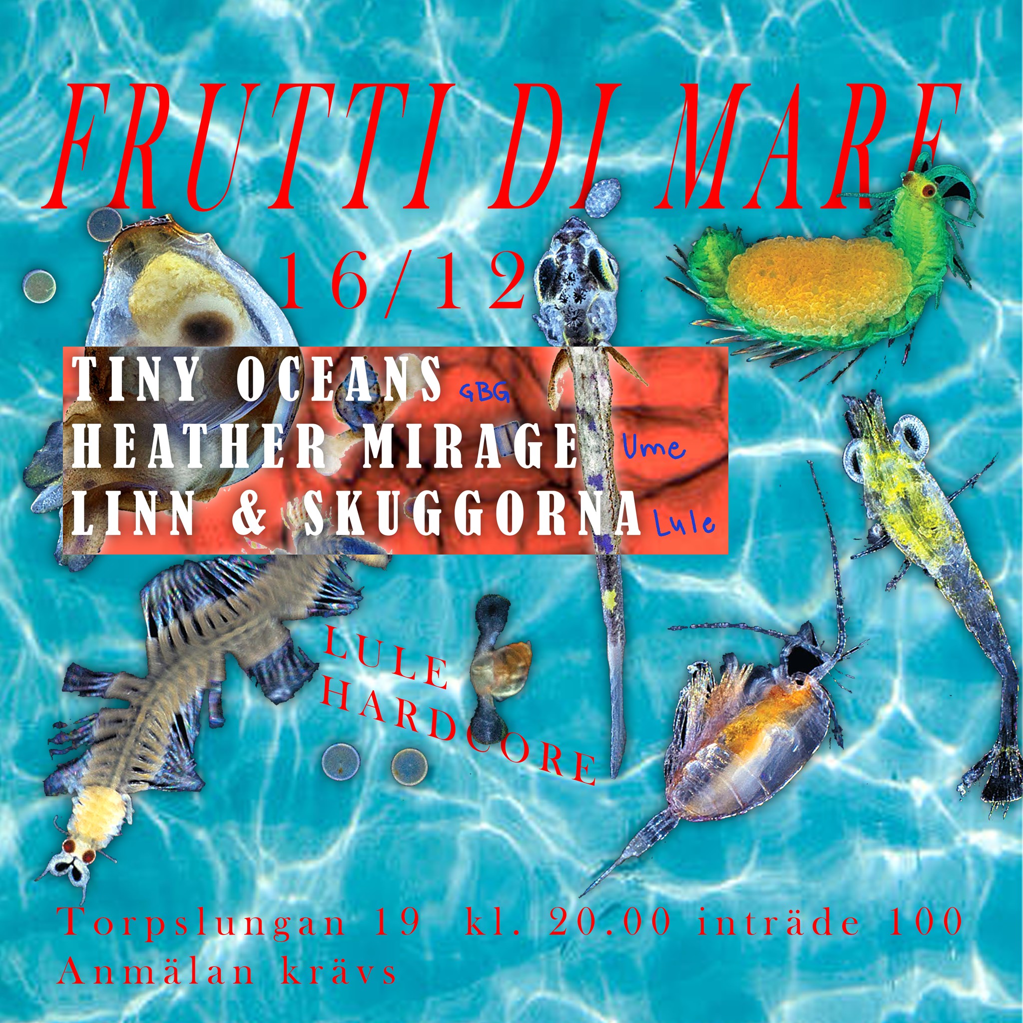 16/12 FRUTTI DI MARE: TINY OCEANS (MALMÖ), HEATHER MIRAGE (UME), LINN & SKUGGORNA (LULE)